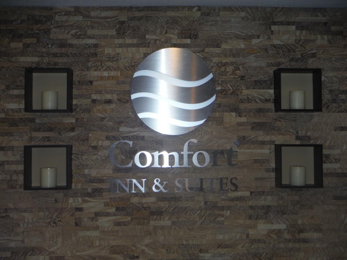 Comfort Inn & Suites - Chisago City 外观 照片