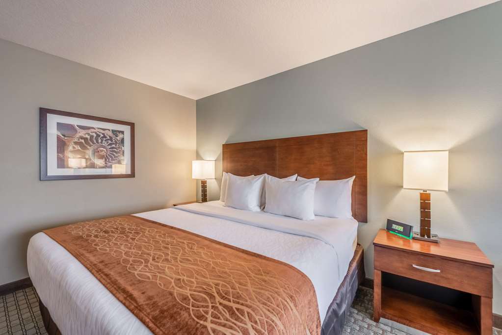 Comfort Inn & Suites - Chisago City 客房 照片